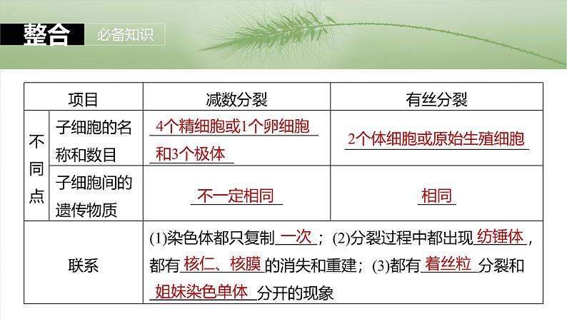 第四单元 第22课时 减数分裂与有丝分裂的比较及观察蝗虫精母细胞减数分裂装片第8页