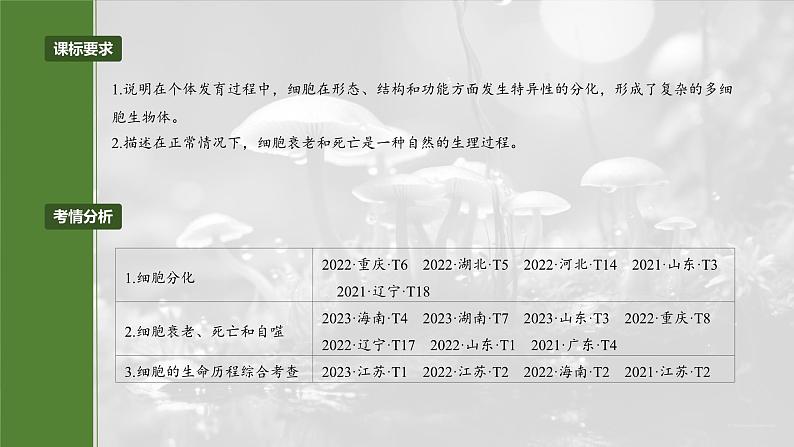 第四单元 第23课时 细胞的分化、衰老和死亡第4页
