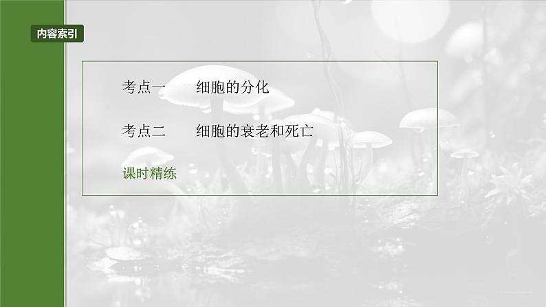 第四单元 第23课时 细胞的分化、衰老和死亡第5页