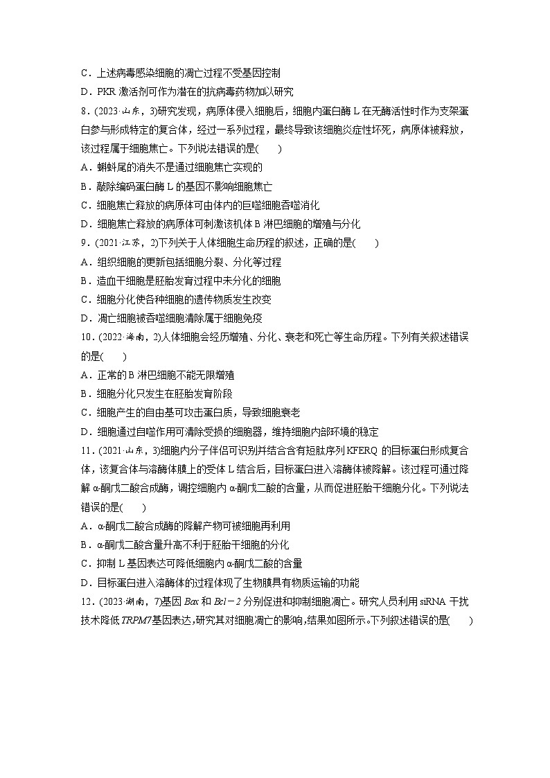 第四单元 课时练23 细胞的分化、衰老和死亡-2025年高考生物大一轮复习(课件+讲义+练习)专练第3页