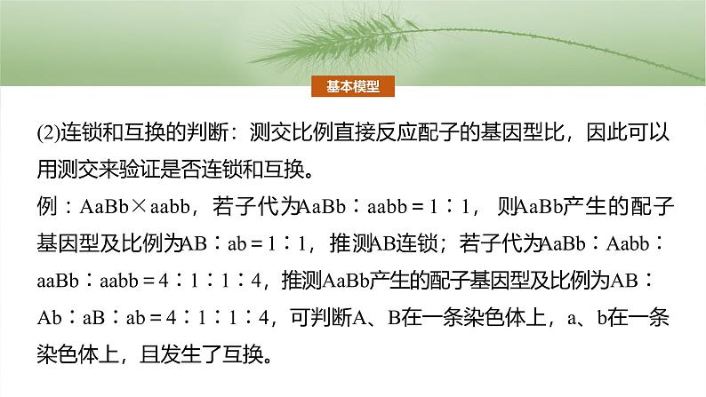 第五单元 专题突破7 探究不同对基因在常染色体上的位置第8页