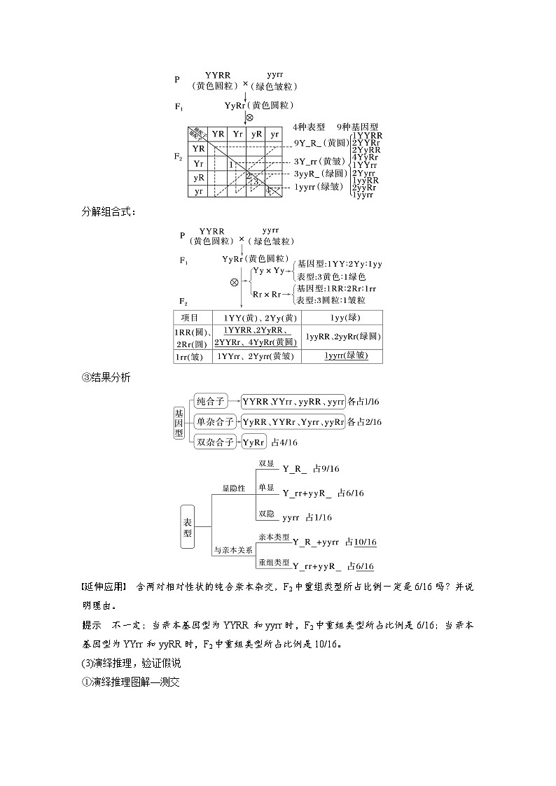 第五单元 第26课时 自由组合定律-2025年高考生物大一轮复习(课件+讲义+练习)教师版第3页