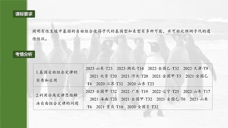 第五单元 第二十六课时 自由组合定律-2025年高考生物大一轮复习(课件+讲义+练习)04
