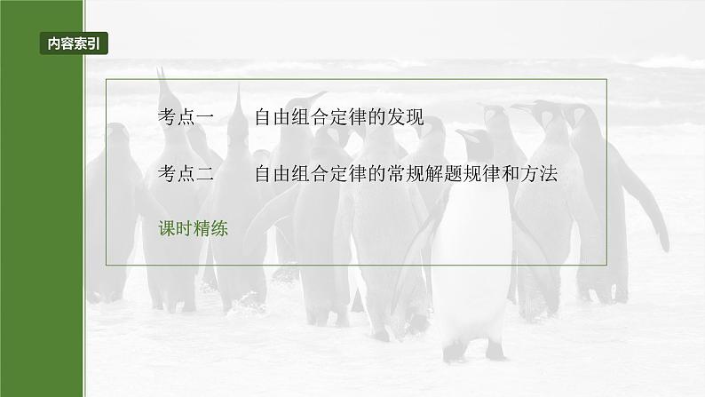 第五单元 第二十六课时 自由组合定律-2025年高考生物大一轮复习(课件+讲义+练习)05