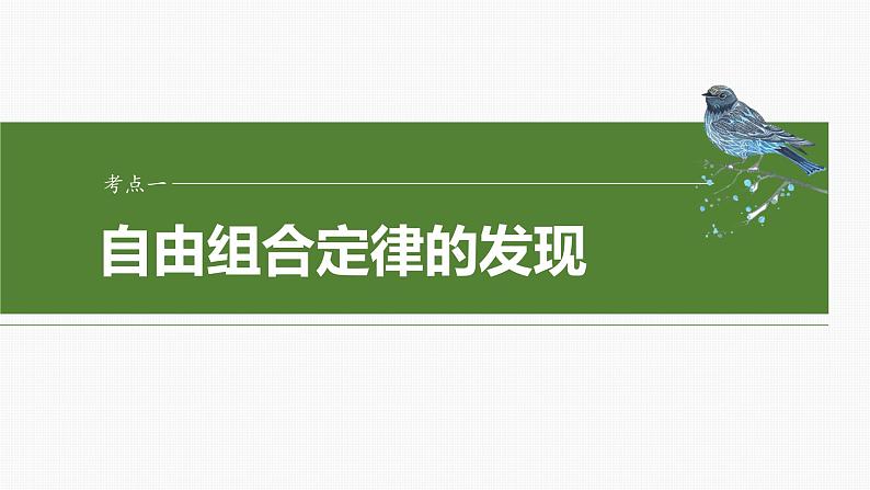 第五单元 第26课时 自由组合定律第6页