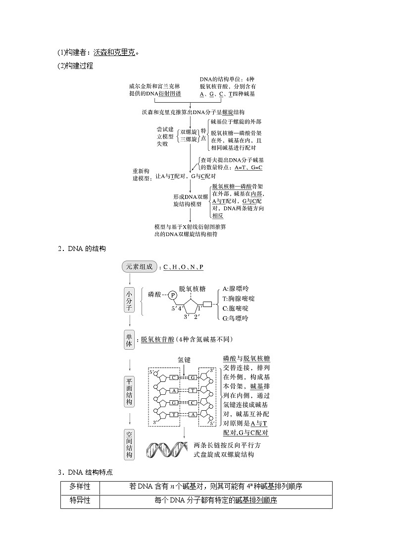 第六单元 第30课时 DNA的结构与复制-2025年高考生物大一轮复习(课件+讲义+练习)教师版第2页