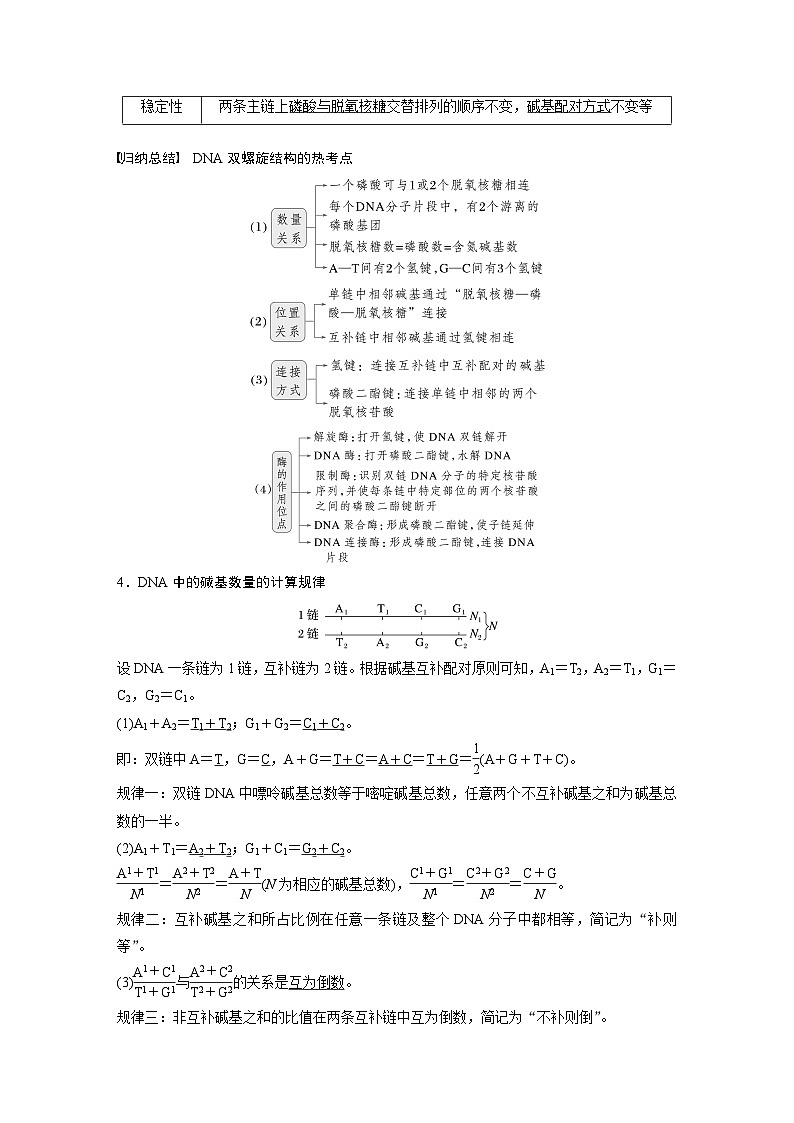 第六单元 第30课时 DNA的结构与复制-2025年高考生物大一轮复习(课件+讲义+练习)教师版第3页