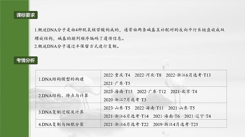 第六单元 第30课时 DNA的结构与复制第4页