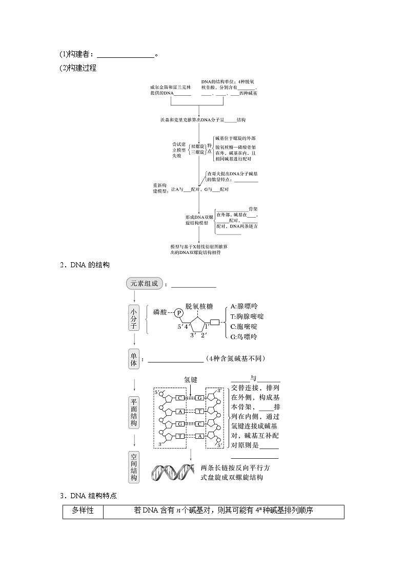 第六单元 第30课时 DNA的结构与复制-2025年高考生物大一轮复习(课件+讲义+练习)学生版第2页