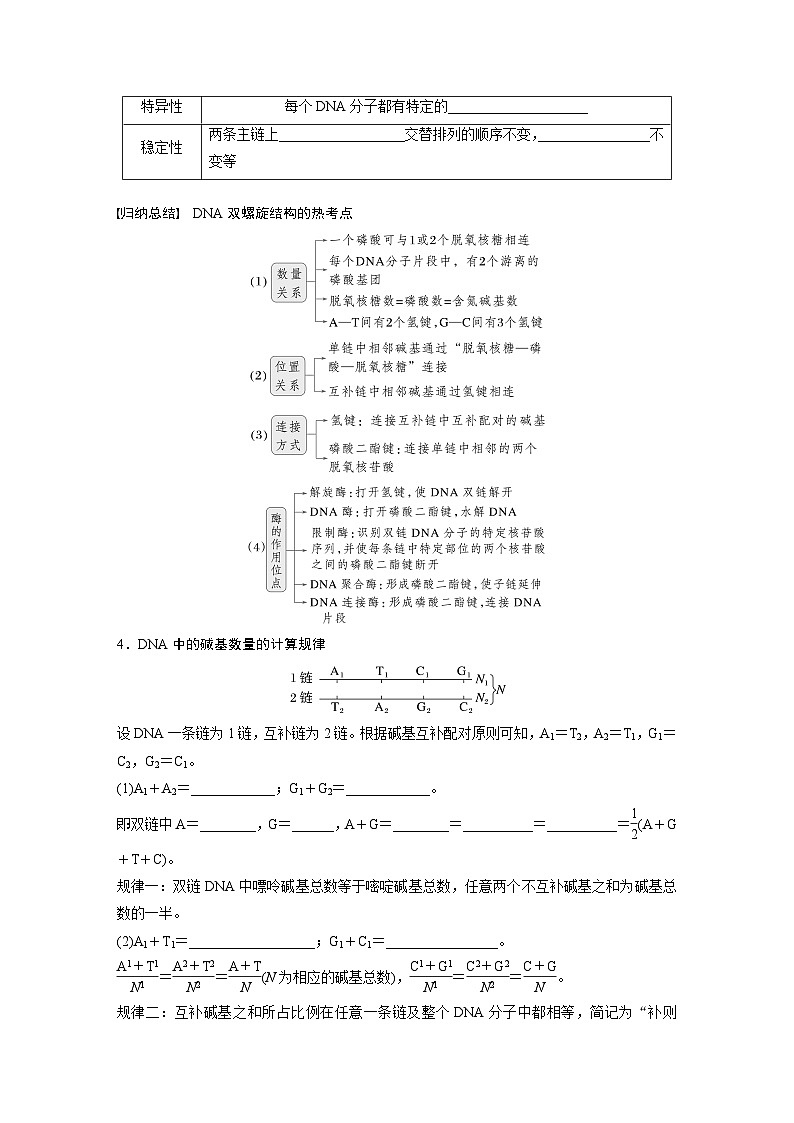 第六单元 第30课时 DNA的结构与复制-2025年高考生物大一轮复习(课件+讲义+练习)学生版第3页