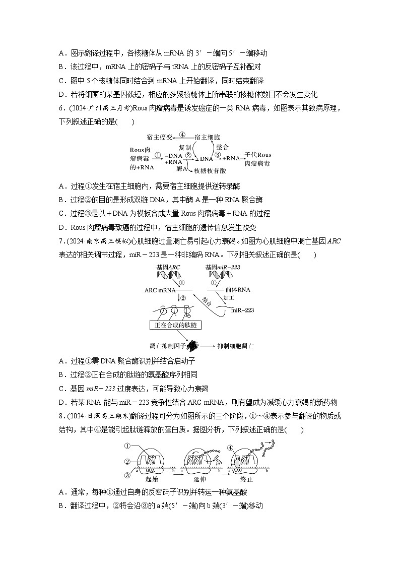第六单元 第31课时 基因的表达-2025年高考生物大一轮复习(课件+讲义+练习)03