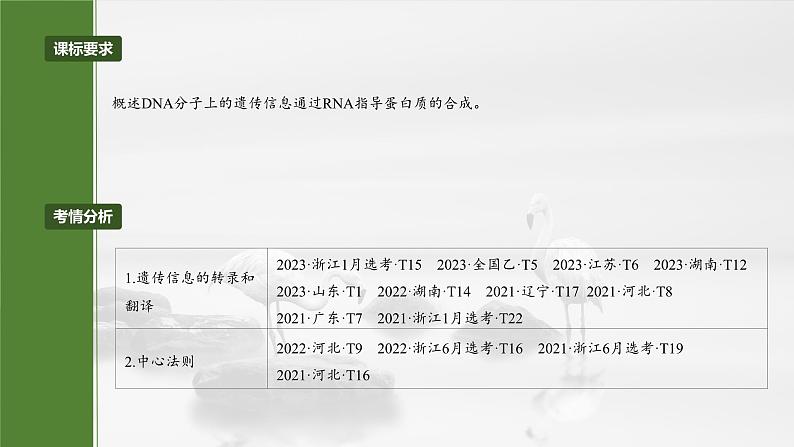 第六单元 第31课时 基因的表达-2025年高考生物大一轮复习(课件+讲义+练习)04