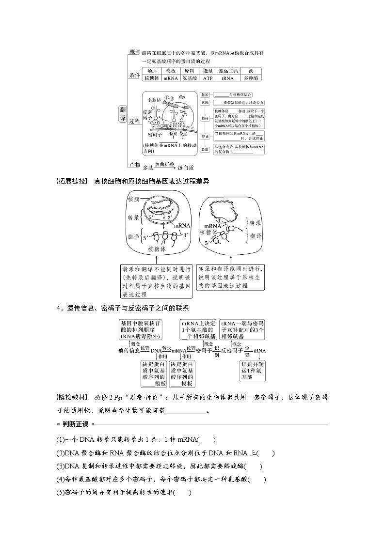 第六单元 第31课时 基因的表达-2025年高考生物大一轮复习(课件+讲义+练习)03