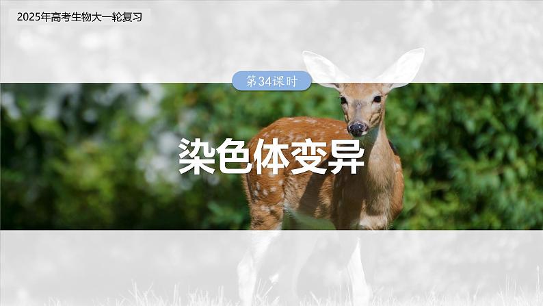 第七单元 第34课时 染色体变异第3页