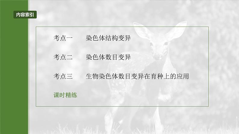 第七单元 第34课时 染色体变异第5页