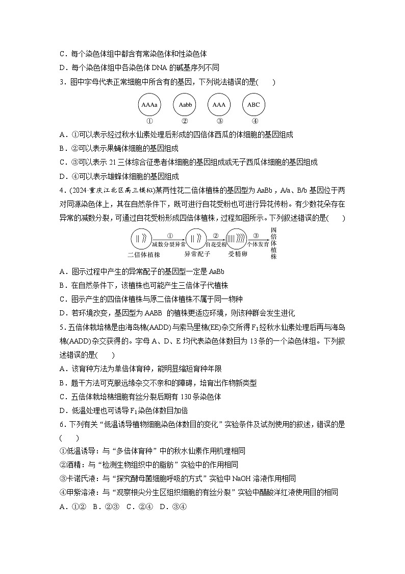第七单元 课时练34 染色体变异-2025年高考生物大一轮复习(课件+讲义+练习)专练第2页