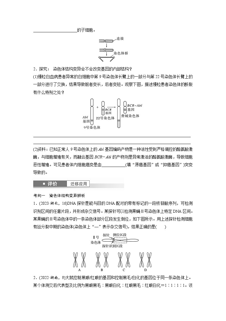 第七单元 第34课时 染色体变异-2025年高考生物大一轮复习(课件+讲义+练习)学生版第3页