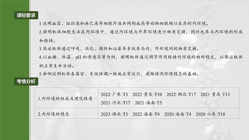 第八单元 第36课时 人体的内环境与稳态-2025年高考生物大一轮复习(课件+讲义+练习)04