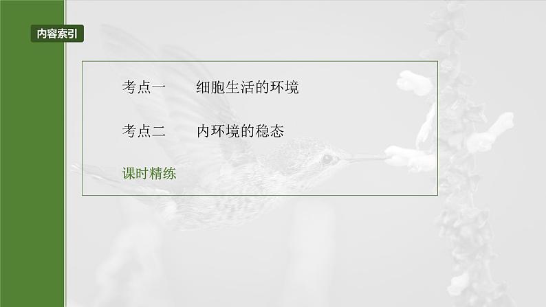 第八单元 第36课时 人体的内环境与稳态-2025年高考生物大一轮复习(课件+讲义+练习)05