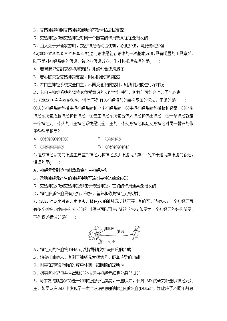 第八单元 课时练37 神经调节的结构基础和基本方式-2025年高考生物大一轮复习(课件+讲义+练习)专练第2页