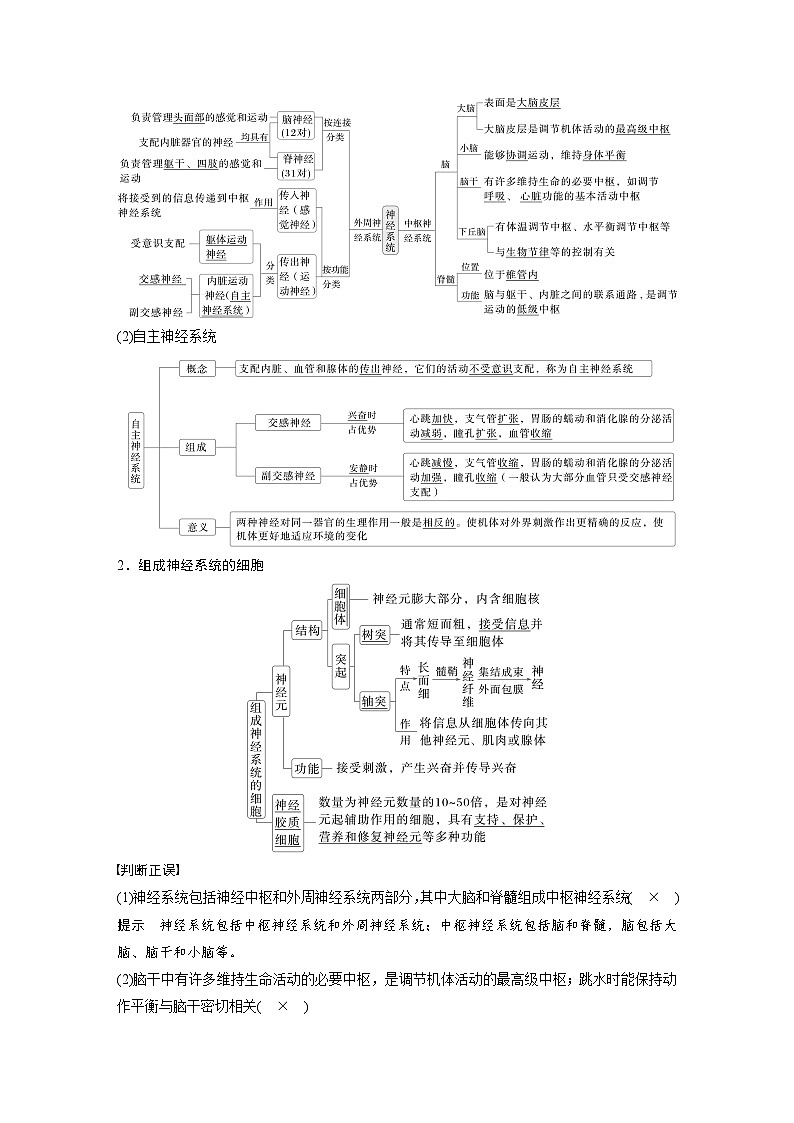 第八单元 第37课时 神经调节的结构基础和基本方式-2025年高考生物大一轮复习(课件+讲义+练习)教师版第2页
