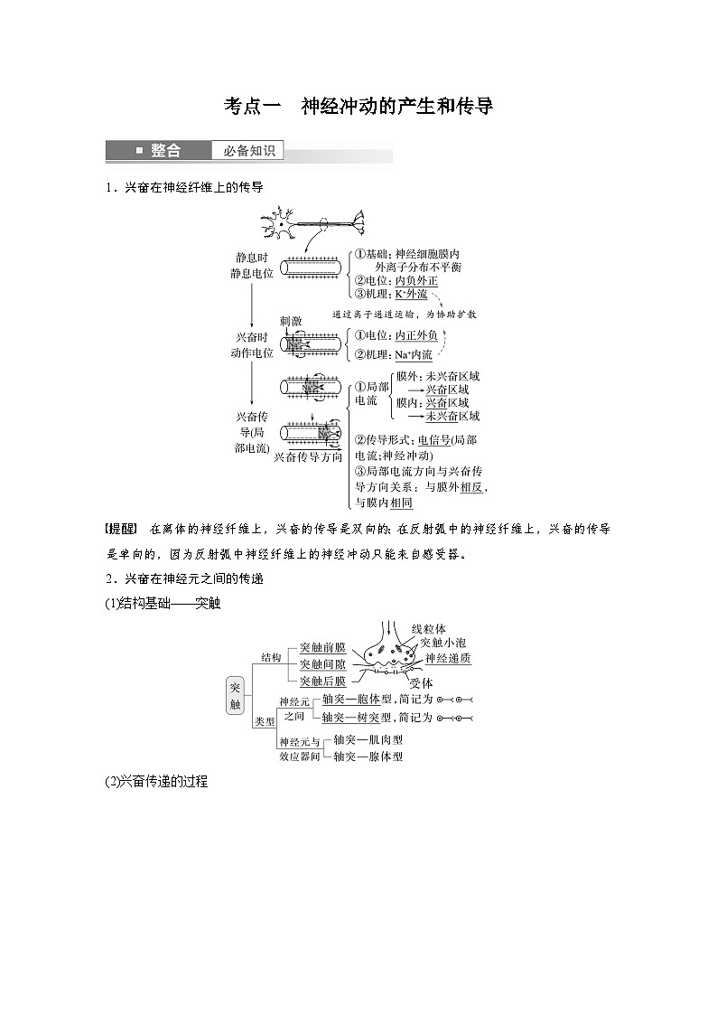 第八单元 第38课时 神经冲动的产生和传导-2025年高考生物大一轮复习(课件+讲义+练习)教师版第2页