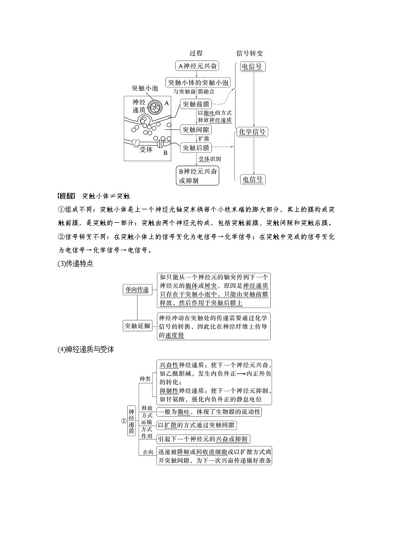 第八单元 第38课时 神经冲动的产生和传导-2025年高考生物大一轮复习(课件+讲义+练习)教师版第3页