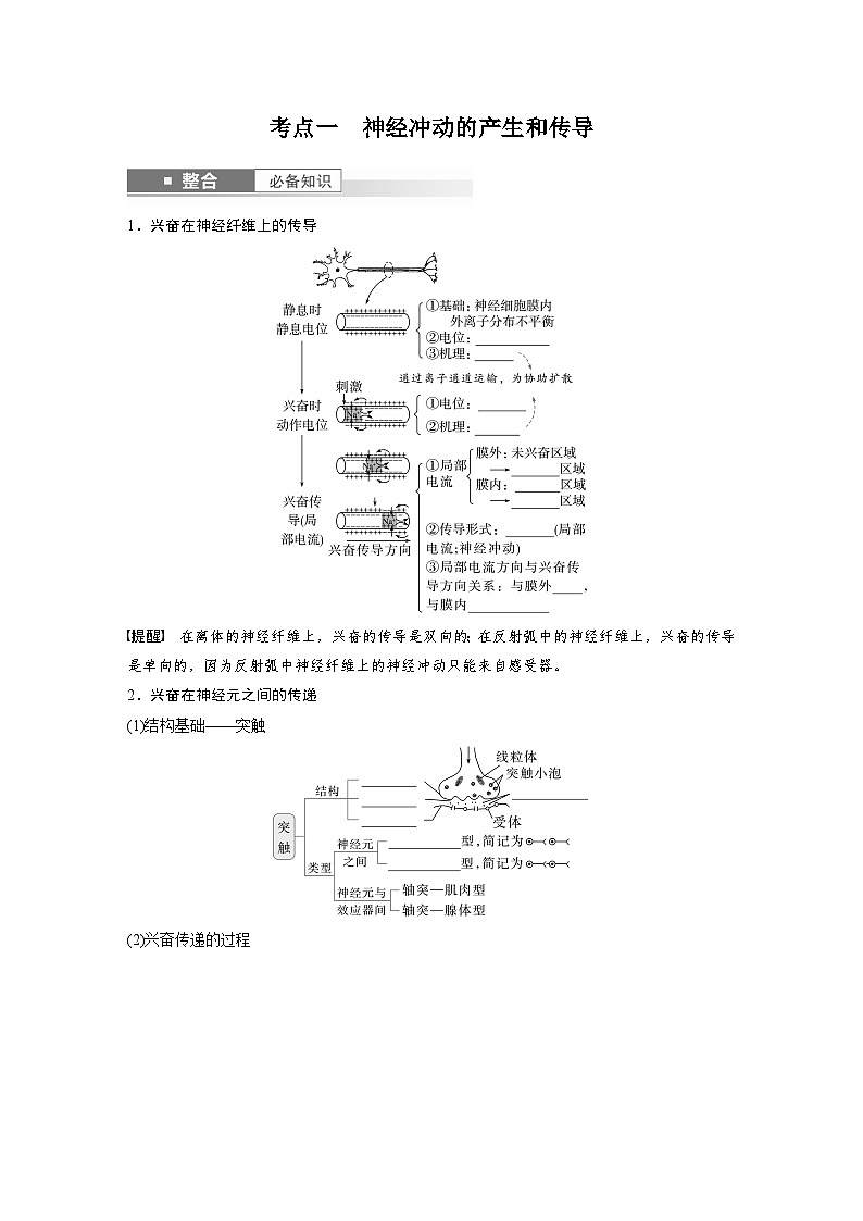 第八单元 第38课时 神经冲动的产生和传导-2025年高考生物大一轮复习(课件+讲义+练习)学生版第2页