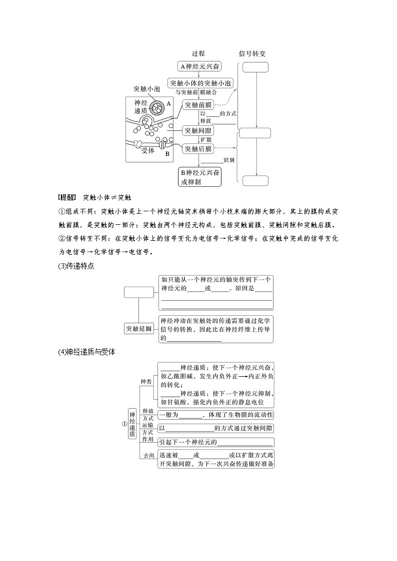 第八单元 第38课时 神经冲动的产生和传导-2025年高考生物大一轮复习(课件+讲义+练习)学生版第3页