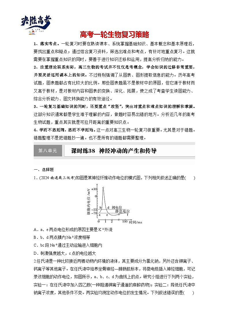 第八单元 课时练38 神经冲动的产生和传导-2025年高考生物大一轮复习(课件+讲义+练习)专练第1页