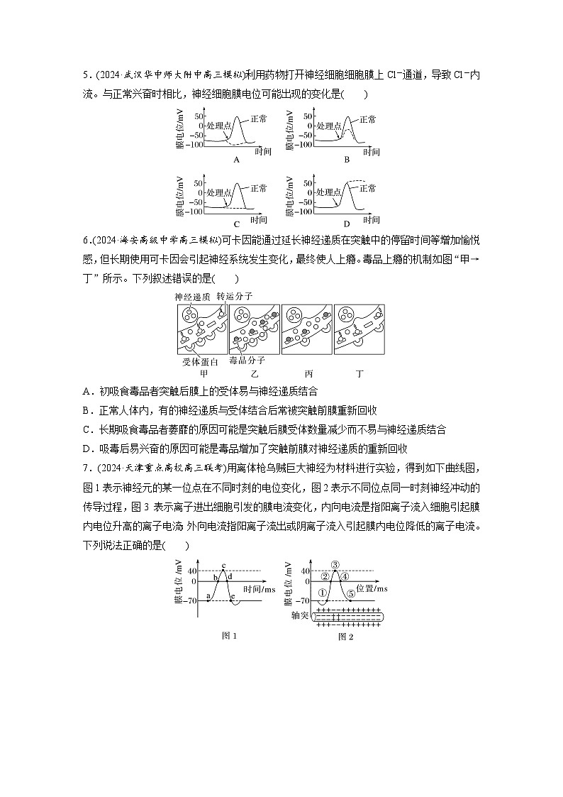 第八单元 课时练38 神经冲动的产生和传导-2025年高考生物大一轮复习(课件+讲义+练习)专练第3页