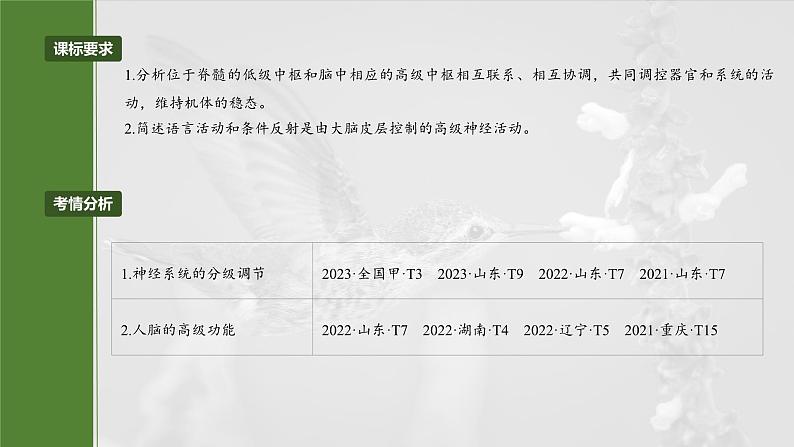 第八单元 第39课时 神经系统的分级调节及人脑的高级功能第4页