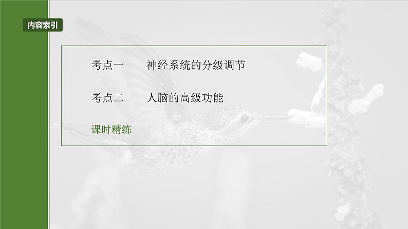 第八单元 第39课时 神经系统的分级调节及人脑的高级功能第5页