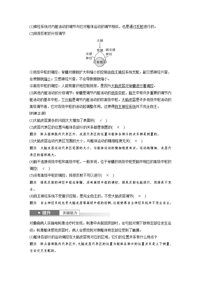 第八单元 第39课时 神经系统的分级调节及人脑的高级功能-2025年高考生物大一轮复习(课件+讲义+练习)教师版第3页
