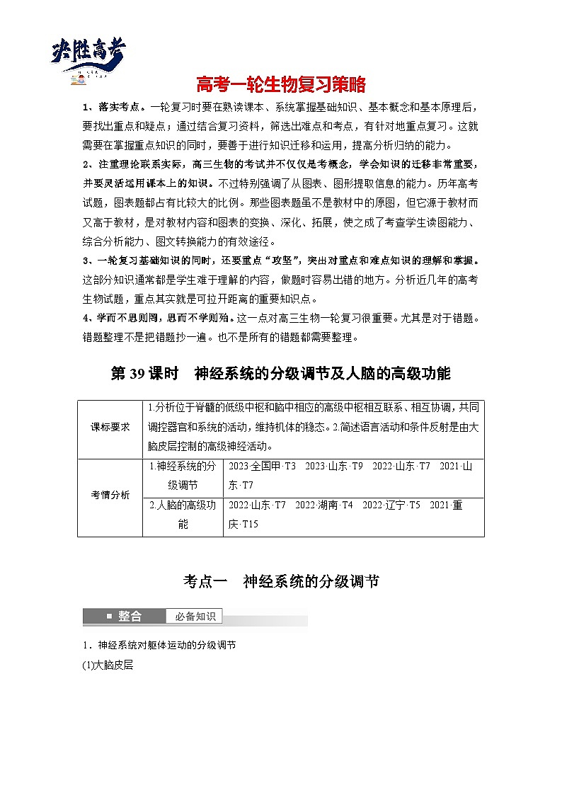 第八单元 第39课时 神经系统的分级调节及人脑的高级功能-2025年高考生物大一轮复习(课件+讲义+练习)学生版第1页