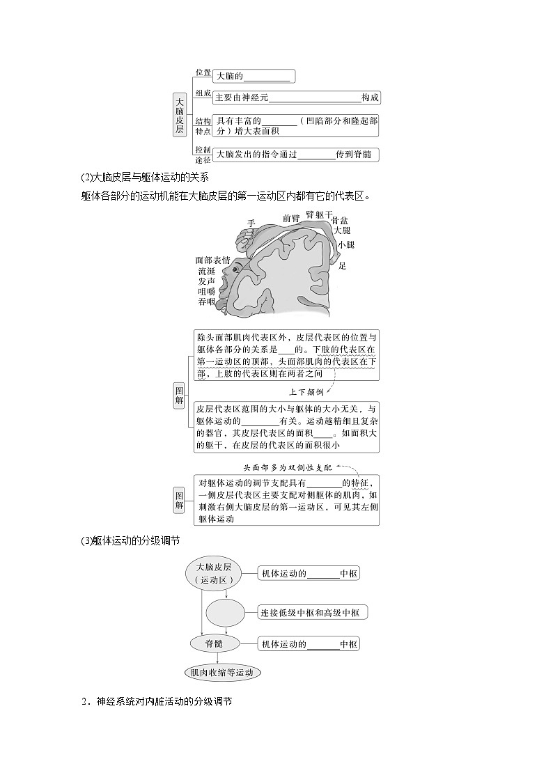 第八单元 第39课时 神经系统的分级调节及人脑的高级功能-2025年高考生物大一轮复习(课件+讲义+练习)学生版第2页