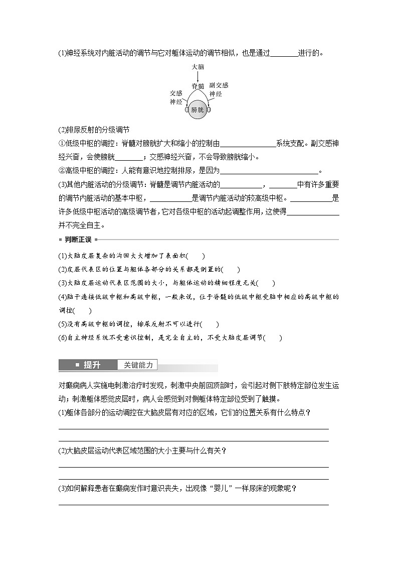 第八单元 第39课时 神经系统的分级调节及人脑的高级功能-2025年高考生物大一轮复习(课件+讲义+练习)学生版第3页