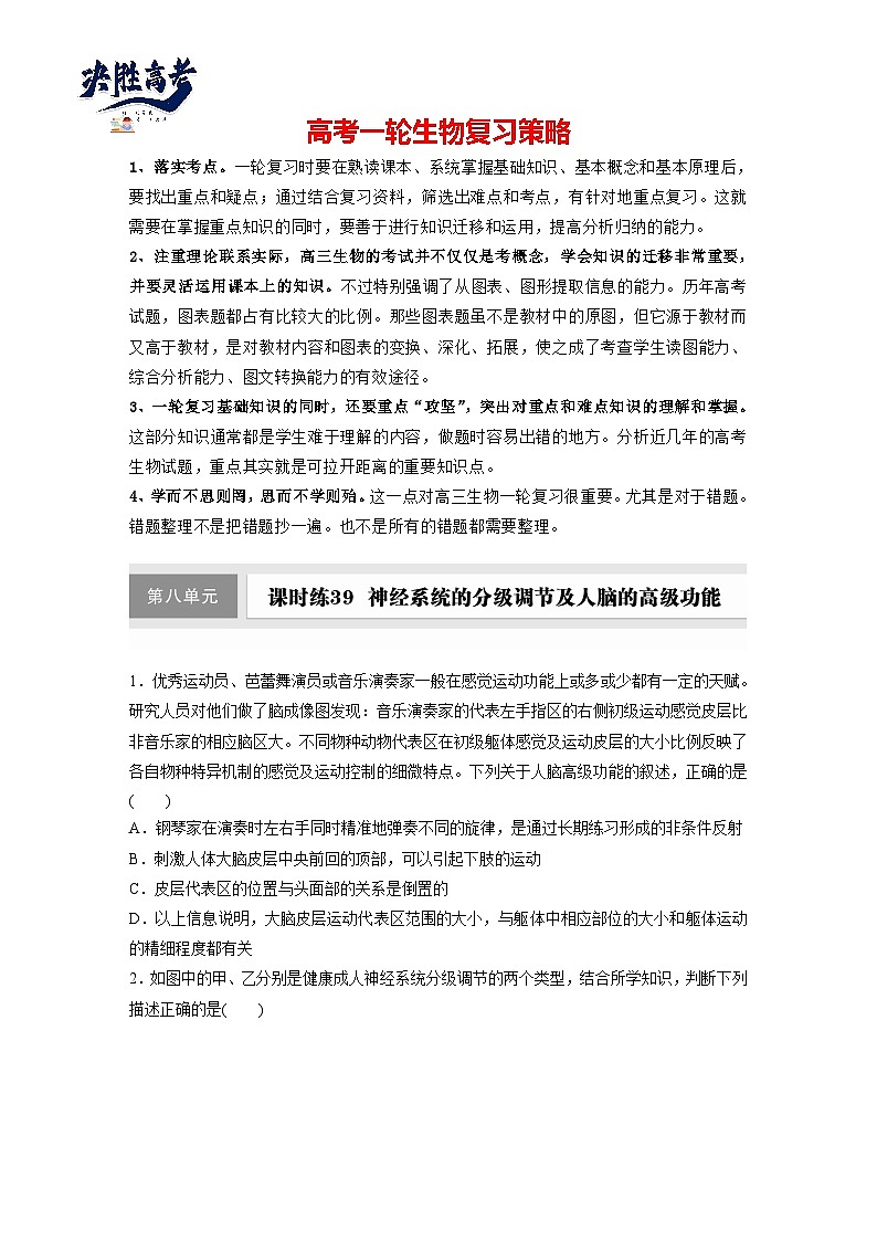 第八单元 课时练39 神经系统的分级调节及人脑的高级功能-2025年高考生物大一轮复习(课件+讲义+练习)专练第1页