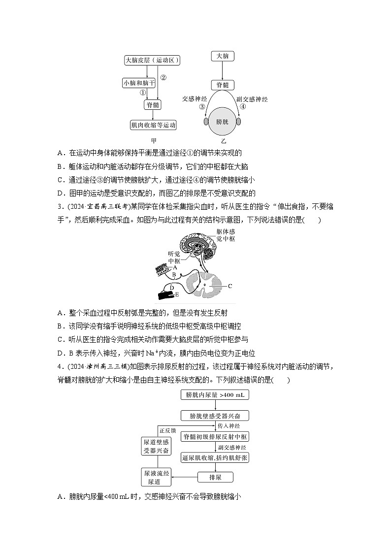 第八单元 课时练39 神经系统的分级调节及人脑的高级功能-2025年高考生物大一轮复习(课件+讲义+练习)专练第2页