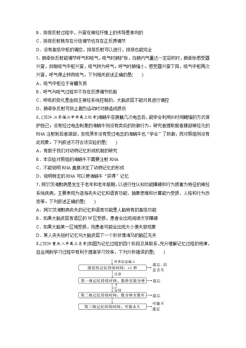 第八单元 课时练39 神经系统的分级调节及人脑的高级功能-2025年高考生物大一轮复习(课件+讲义+练习)专练第3页