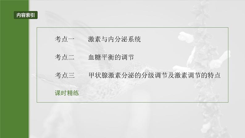 第八单元 第40课时 激素与内分泌调节及激素调节的过程-2025年高考生物大一轮复习(课件+讲义+练习)05