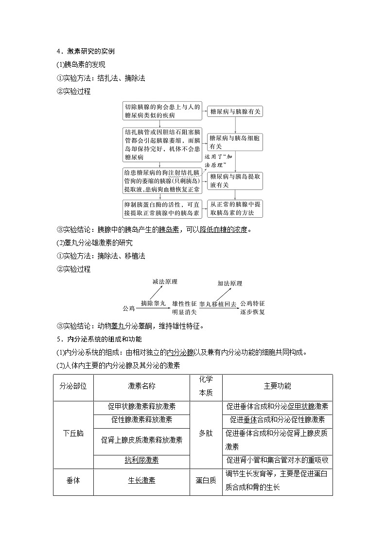 第八单元 第40课时 激素与内分泌调节及激素调节的过程-2025年高考生物大一轮复习(课件+讲义+练习)03
