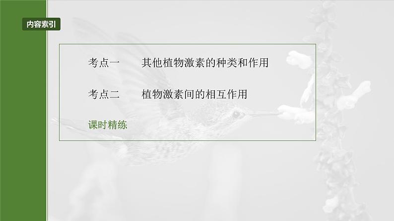 第八单元 第45课时 其他植物激素第5页