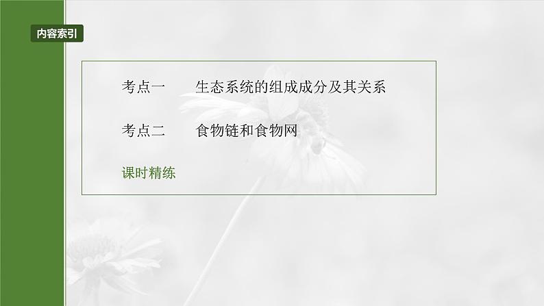 第九单元 第51课时 生态系统的结构-2025年高考生物大一轮复习(课件+讲义+练习)05