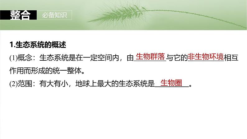 第九单元 第51课时 生态系统的结构-2025年高考生物大一轮复习(课件+讲义+练习)07