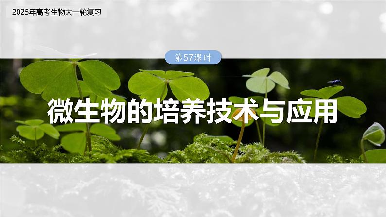 第十单元 第57课时 微生物的培养技术与应用第3页