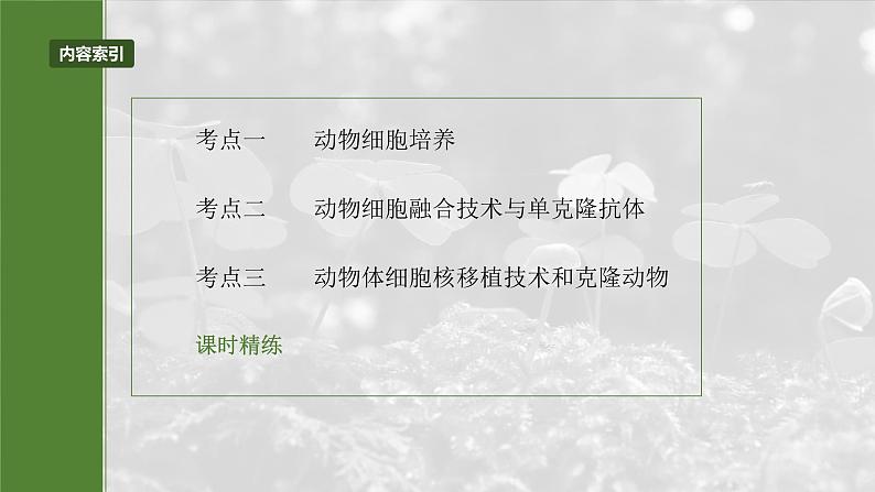 第十单元 第59课时 动物细胞工程-2025年高考生物大一轮复习(课件+讲义+练习)05