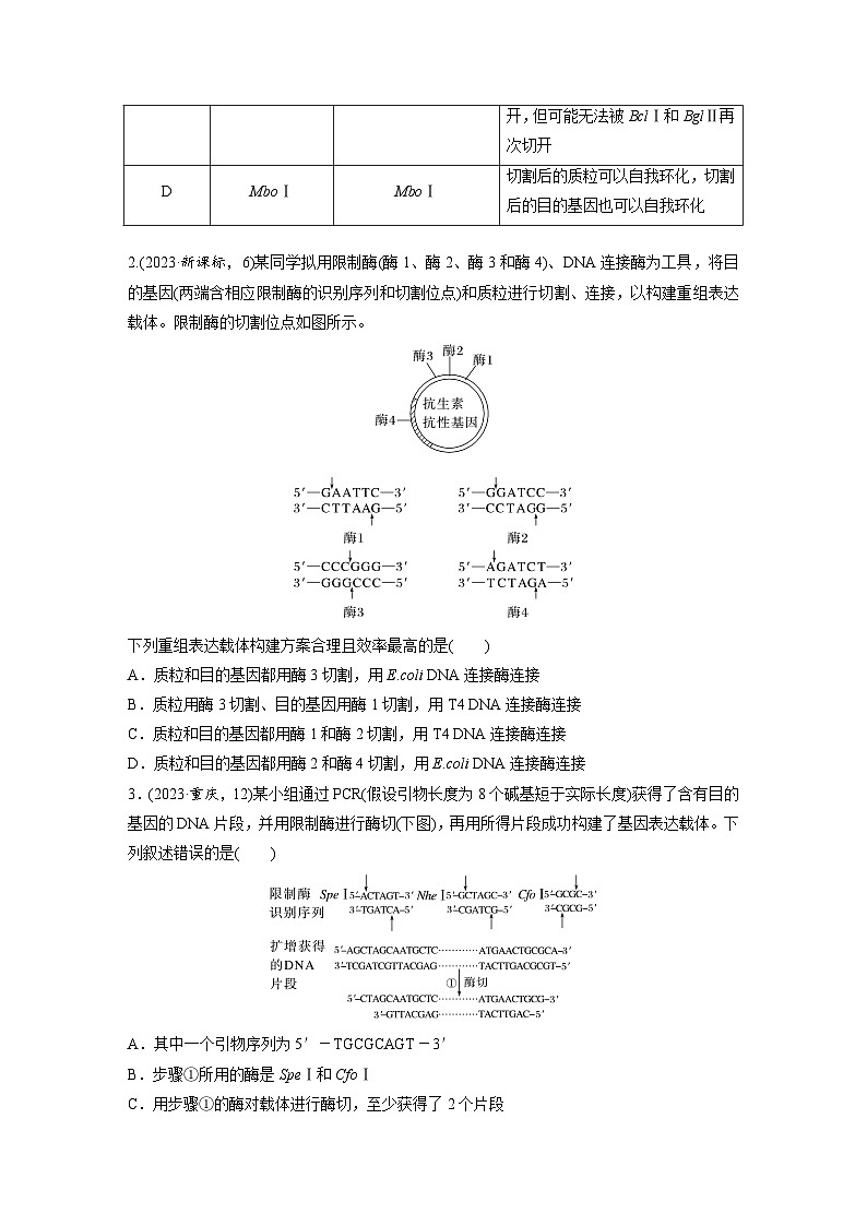 第十单元 课时练61 基因工程的基本工具和基本操作程序-2025年高考生物大一轮复习(课件+讲义+练习)专练第2页
