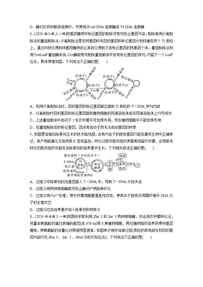 第十单元 课时练61 基因工程的基本工具和基本操作程序-2025年高考生物大一轮复习(课件+讲义+练习)专练第3页