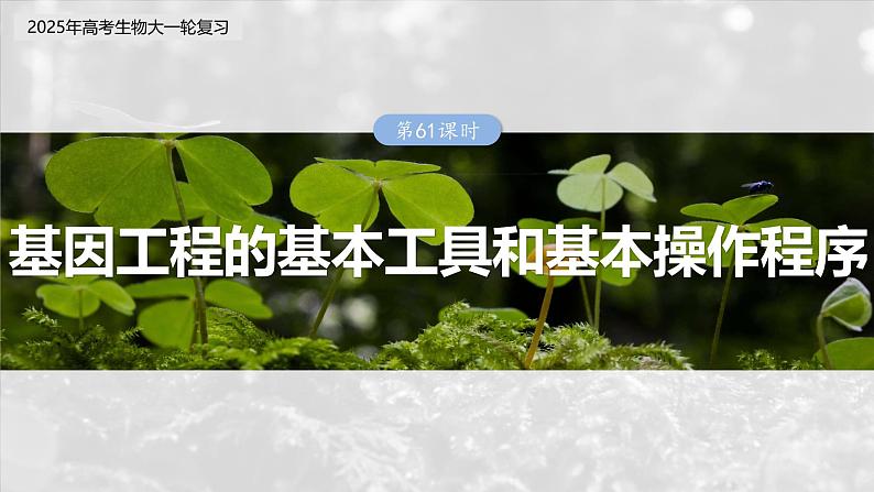 25版:第十单元 第61课时 基因工程的基本工具和基本操作程序(bbgrjjjq)第3页